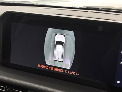 TOYOTA LAND CRUISER 250 - 8