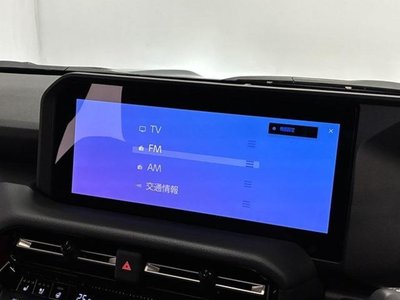 TOYOTA LAND CRUISER 250 - 5