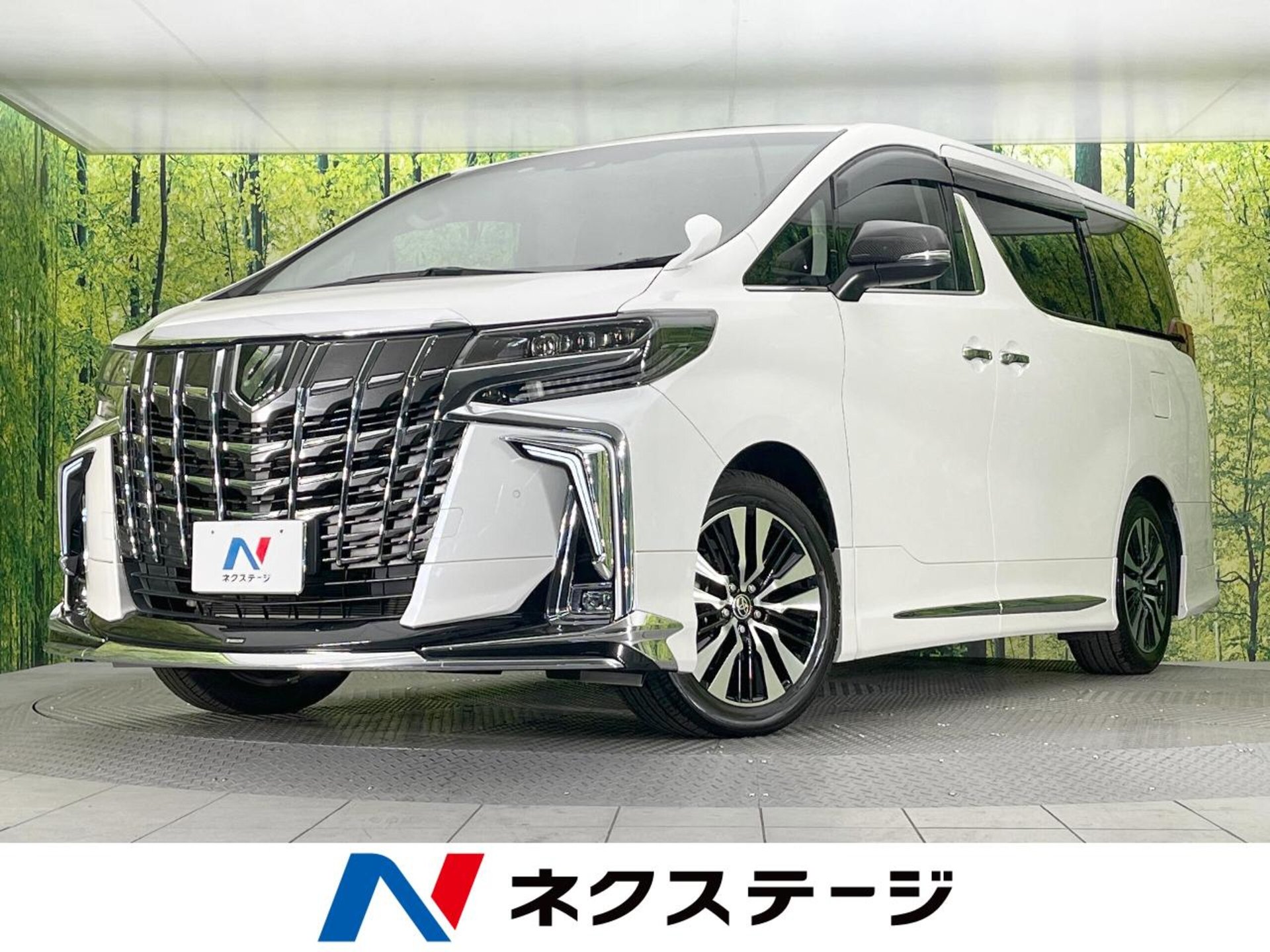 TOYOTA ALPHARD - View 1