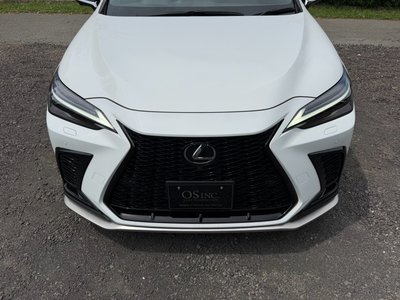 صورة مصغرة 20 لـ 2023 Lexus NX