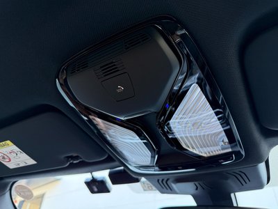 2023 BMW X6 缩略图 42