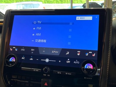 2024 Toyota ALPHARD 缩略图 24