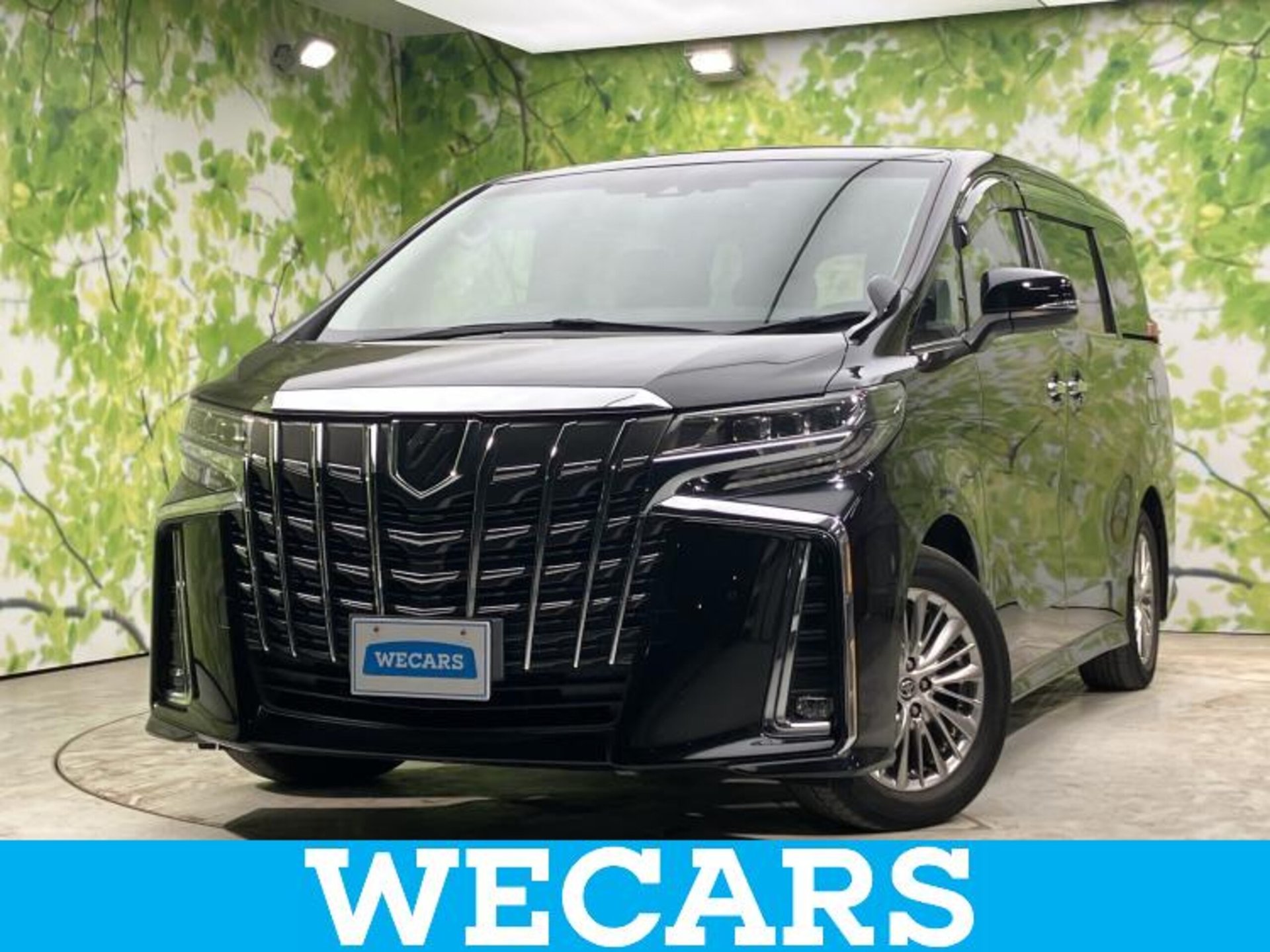 TOYOTA ALPHARD - View 1