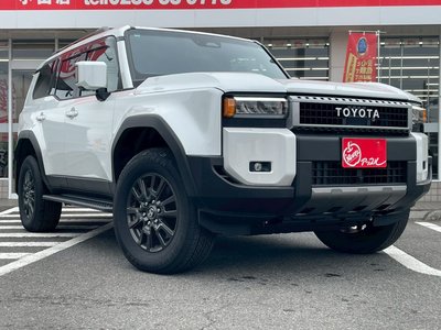 2024 Toyota LAND CRUISER 250 — миниатюра 24