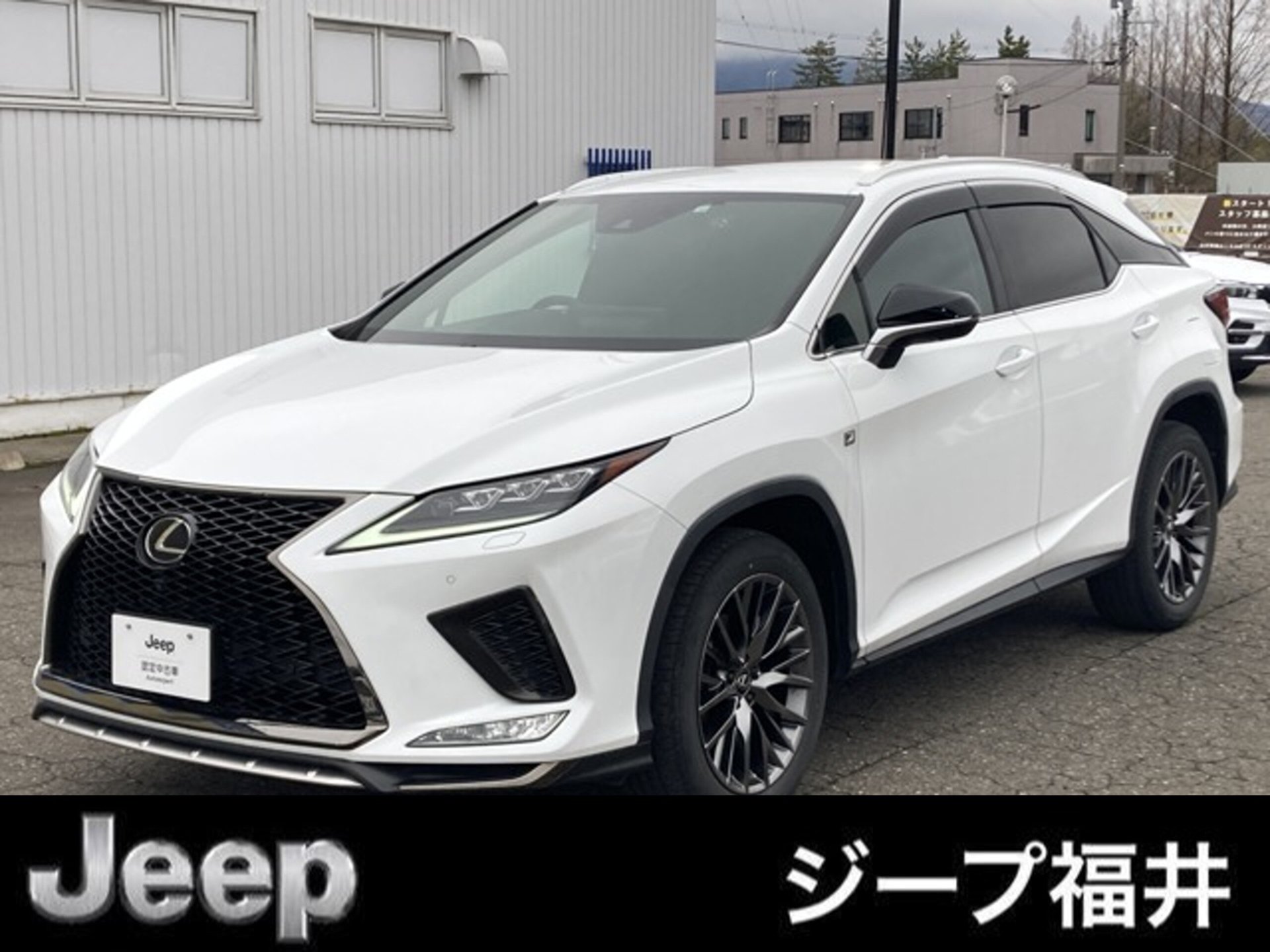 LEXUS RX - View 1