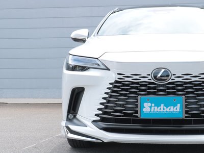 صورة مصغرة 15 لـ 2023 Lexus RX