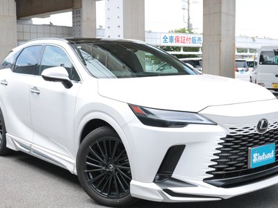 صورة مصغرة 24 لـ 2023 Lexus RX
