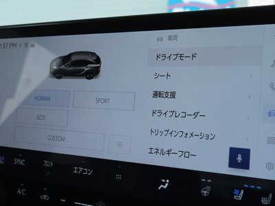 صورة مصغرة 64 لـ 2023 Lexus RX