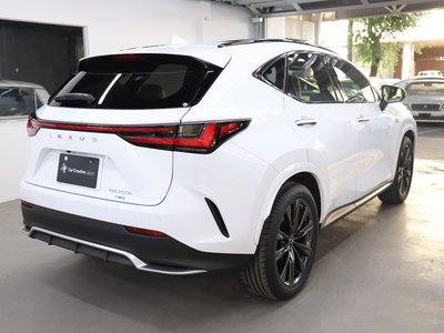 LEXUS NX - 10
