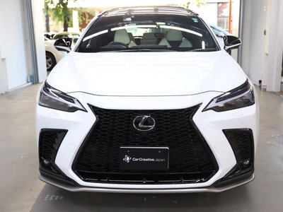 LEXUS NX - 8