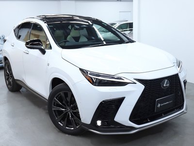 LEXUS NX - 1