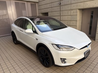 TESLA MODEL X - 10