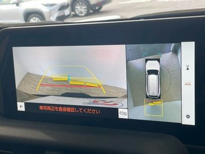 TOYOTA LAND CRUISER 250 - 4