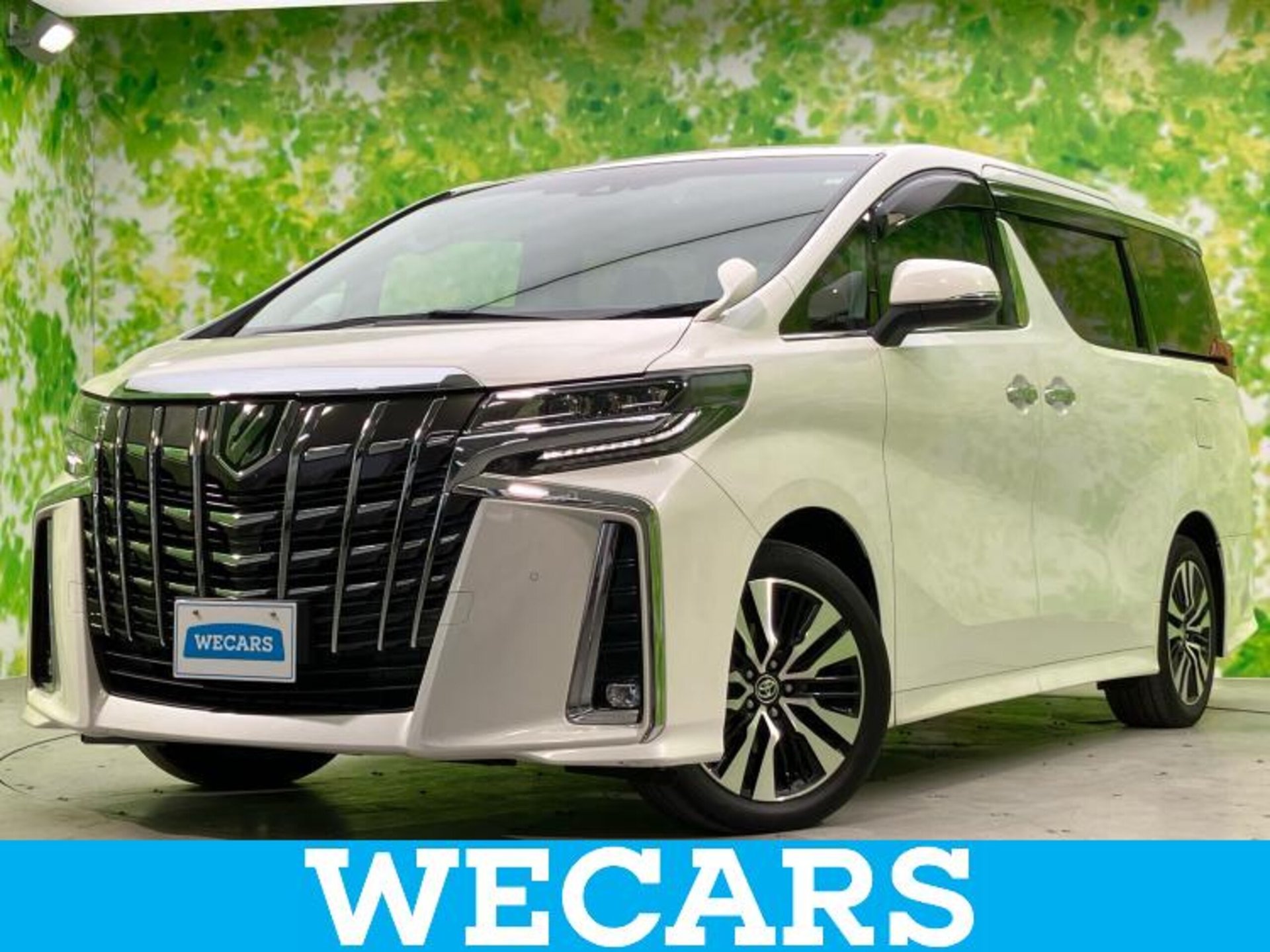 TOYOTA ALPHARD - View 1