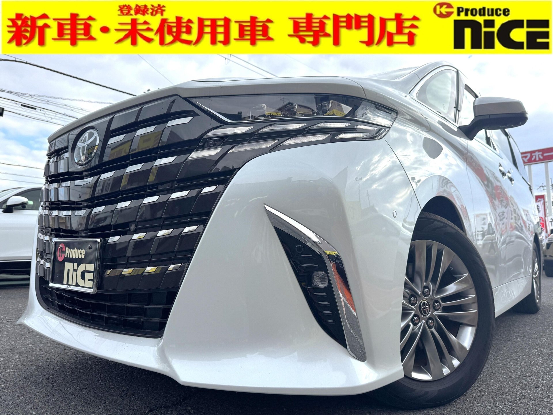 TOYOTA ALPHARD - View 1