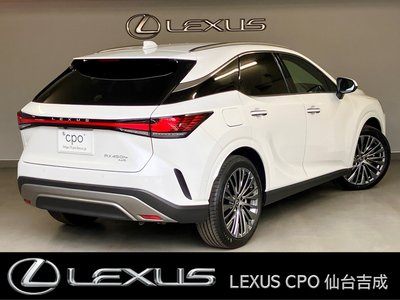LEXUS RX - 9