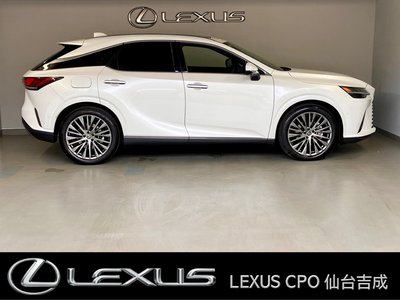 LEXUS RX - 8