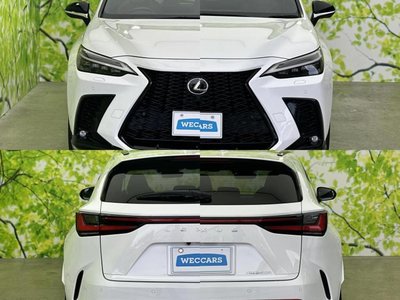 2023 Lexus NX 缩略图 50