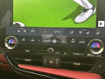 2023 Lexus NX 缩略图 30