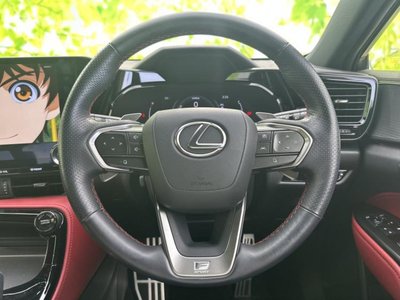 2023 Lexus NX 缩略图 15