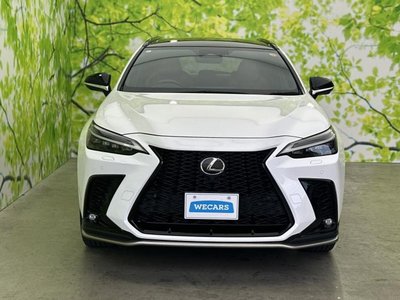 2023 Lexus NX 缩略图 42