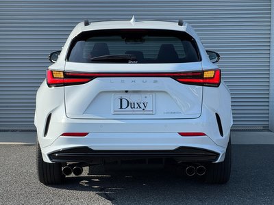 2025 Lexus NX thumbnail 29