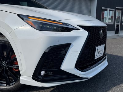 2025 Lexus NX thumbnail 14