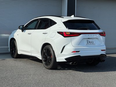 2025 Lexus NX thumbnail 30