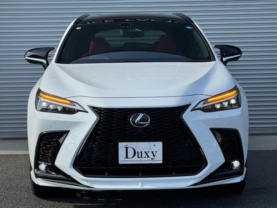 2025 Lexus NX thumbnail 15