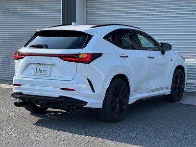 2025 Lexus NX thumbnail 31