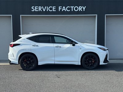 2025 Lexus NX thumbnail 28