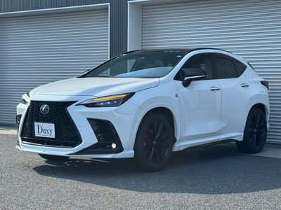 2025 Lexus NX thumbnail 18