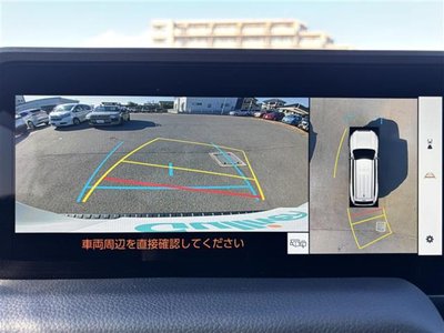 TOYOTA LAND CRUISER 250 - 5