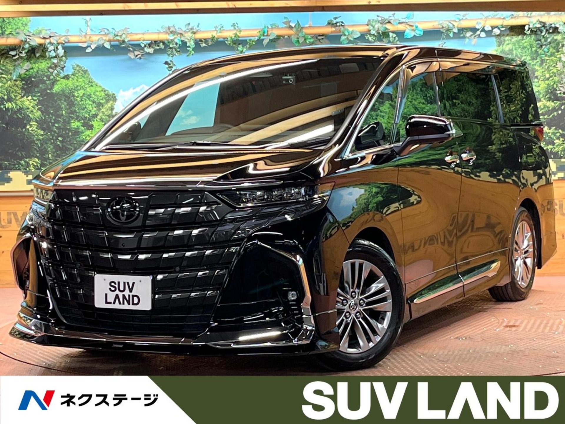 TOYOTA ALPHARD - View 1
