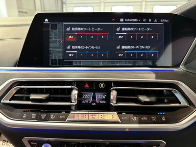 2022 BMW X7 缩略图 34