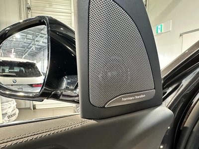 2022 BMW X7 缩略图 13