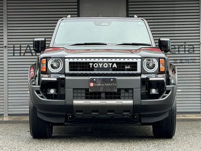 TOYOTA LAND CRUISER 250 - 2