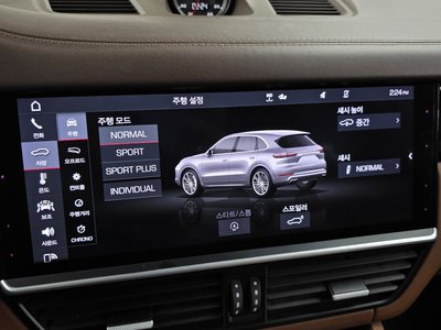2020 Porsche CAYENNE 缩略图 16