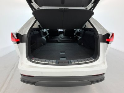 2025 Lexus NX 照片 7