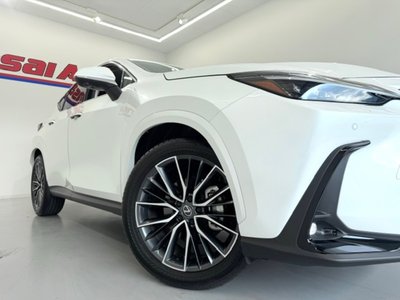 2025 Lexus NX — миниатюра 55