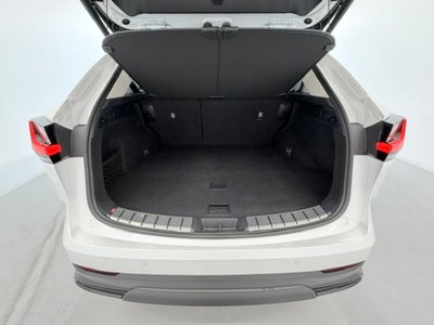 2025 Lexus NX 照片 6
