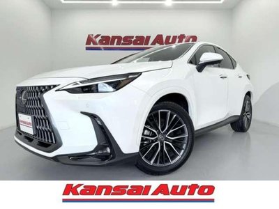 2025 Lexus NX 照片 1