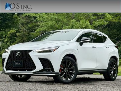 LEXUS NX - 1