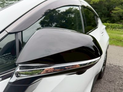 LEXUS NX - 10
