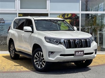 2022 Toyota LAND CRUISER PRADO 照片 4