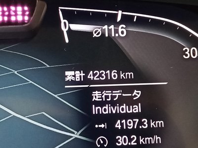 2021 BMW X6 — миниатюра 37