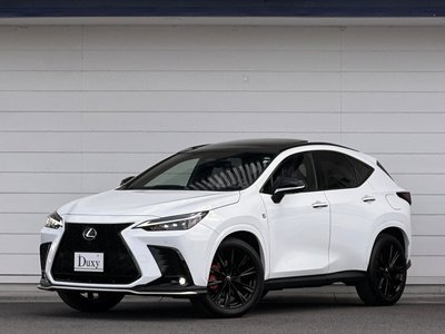 LEXUS NX - 10
