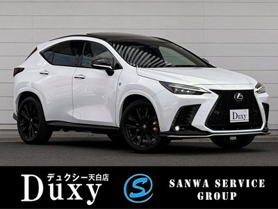 LEXUS NX - 1