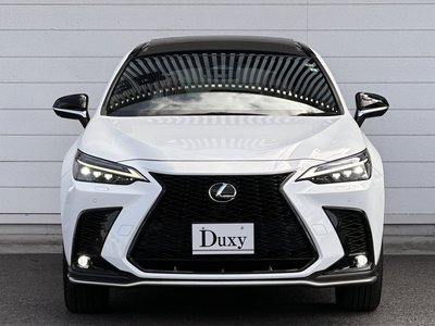 LEXUS NX - 4
