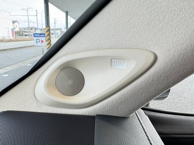 TOYOTA LAND CRUISER 300 - 5